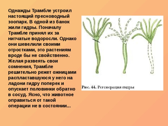 Ссылка кракен официальная тор